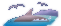 Search dolphin